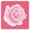 Image de Mini peinture au numéro : Corolle de Rose 2  - toile tendue sur chassis FiguredArt-SFA052-Y