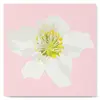 Image de Mini peinture au numéro : Fleur d'Eglantier  - toile tendue sur chassis FiguredArt-SFA046-Y