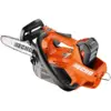 Image de Élagueuse à batterie 30 cm 50,4 V   ECHO   avec 2 batteries 2,5 Ah et chargeur   DCS-3000T/C1 3666973433718