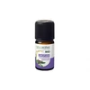 Image de Naturactive giroflier huile essentielle bio flacon 5ml