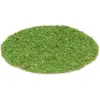 Image de Set de table mousse végétale 35 cm 78576AF