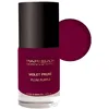Image de Vernis à ongles violet prune Parisax