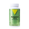 Image de Vitall+ astragale 500mg 60 gélules