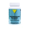 Image de Vit'all lactobacillus gasseri 100mg 60 capsules
