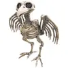 Image de Squelette de Corbeau FETE-9029
