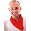 Image de Foulard Feria 33352