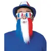 Image de Barbe patriote Bleu Blanc Rouge FETE-865108