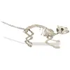 Image de Squelette de Chat 60 cm FETE-90245
