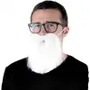Image de Barbe de hipster blanche FETE-862212W