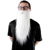 Image de Barbe de Magicien - Adulte 862213W