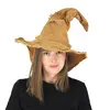 Image de Chapeau de sorcière magic marron FETE-908111