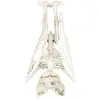 Image de Squelette de chauve souris 27 cm FETE-902402