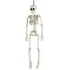 Image de Squelette humain pvc 40cm FETE-91202540