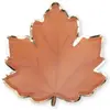 Image de Paquet de 8 Assiettes Automne woodland 23cm FETE-913FE1