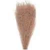 Image de Bouquet de 10 Pampas light brun naturel 60 cm 333FS7PPRO