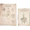 Image de Set de deux affiches Cabinet des curiosités Anatomie FETE-913HS2