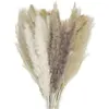 Image de Bouquet fourni de Fleurs séchées Naturelles assorties 60cm FETE-333FS16