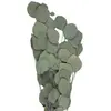 Image de Bouquet de Feuillages de Pommier VERT 60 cm FETE-333FS17