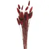 Image de Bouquet de 30 Bunny tails Marsala 60 cm FETE-333FS19