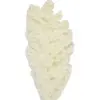 Image de Bouquet de Pampas Asparagus Blanc 70 cm FETE-333FS23