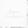 Image de Sachet de 16 Serviettes Joyeux Anniversaire, blanc et argent FETE-9133JAS