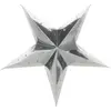Image de Lanterne étoile Argent 30 cm FETE-502516S