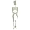 Image de Squelette phosphorescent 150 cm FETE-9121