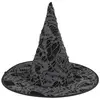 Image de Chapeau de sorcière toile d'araignée adulte FETE-9128