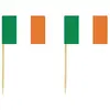 Image de Sachet de 10 pics à cocktail Irlande FETE-913IRP