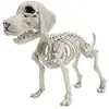 Image de Squelette de petit chien 26 cm FETE-902232