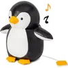 Image de Martin le Pingouin Les Animaux Musicaux