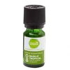 Image de Pharmascience basilic tropical bio huile essentielle 10ml