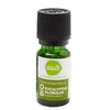 Image de Pharmascience eucalyptus globulus bio huile essentielle 10ml