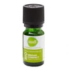 Image de Pharmascience origan compact bio huile essentielle 10ml