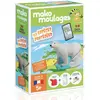 Image de Moulage en plâtre mako créations : ours polaire - Les espèces protégées Mako-39062