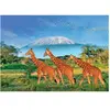 Image de Puzzle 500 pièces XL : Girafes au pied du Kilimandjaro Sentosphere-7304