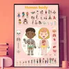 Image de Poster pédagogique et stickers : Le corps humain Poppik-DIS011