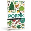 Image de Poster pédagogique + 54 stickers : l'arbre POP12627
