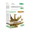 Image de Flora natura harpagophytum bio 20 ampoules