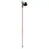 Image de Bâton de marche nordique Guidetti Vent des Fjords UT70 Steppe R30660105 Rose 105 cm