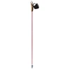 Image de Bâton de marche nordique Guidetti Vent des Fjords UT70 Steppe R30660115 Rose 115 cm