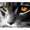 Image de Peinture au numéro : Chat aux yeux perçants  - sans châssis en bois FiguredArt-PN1631