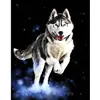 Image de Peinture au numéro : Husky  - sans châssis en bois FiguredArt-PN142