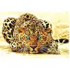 Image de Peinture au numéro : La Panthère aux yeux bleus  - sans châssis en bois FiguredArt-PN030