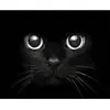 Image de Peinture au numéro : Tête de Chat noir  - sans châssis en bois FiguredArt-PN1435