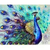 Image de Peinture au numéro : Paon coloré  - sans châssis en bois FiguredArt-PN1091