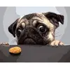 Image de Peinture au numéro : Chien Carlin Gourmand  - sans châssis en bois FiguredArt-PN436