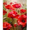 Image de Peinture au numéro : Champ de Coquelicots  - sans châssis en bois FiguredArt-PN591