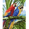 Image de Peinture au numéro : Perroquets sous les tropiques  - sans châssis en bois FiguredArt-PN264
