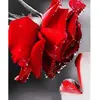 Image de Broderie diamant : Bouche et Rose rouge - sans chassis en bois FiguredArt-DP-972